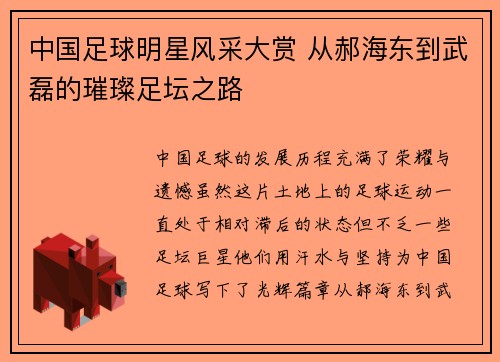 中国足球明星风采大赏 从郝海东到武磊的璀璨足坛之路
