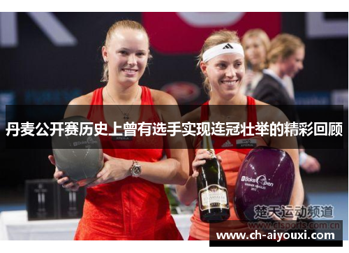 丹麦公开赛历史上曾有选手实现连冠壮举的精彩回顾 丹麦公开赛历史上曾有选手实现连冠壮举的精彩回顾