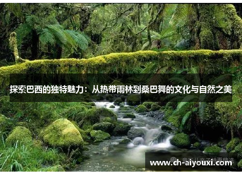 探索巴西的独特魅力：从热带雨林到桑巴舞的文化与自然之美