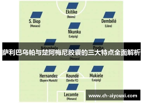 萨利巴乌帕与楚阿梅尼胶囊的三大特点全面解析 萨利巴乌帕与楚阿梅尼胶囊的三大特点全面解析