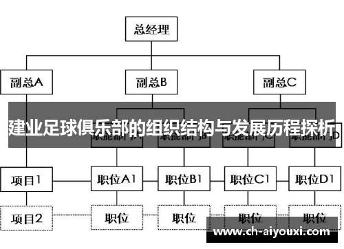建业足球俱乐部的组织结构与发展历程探析